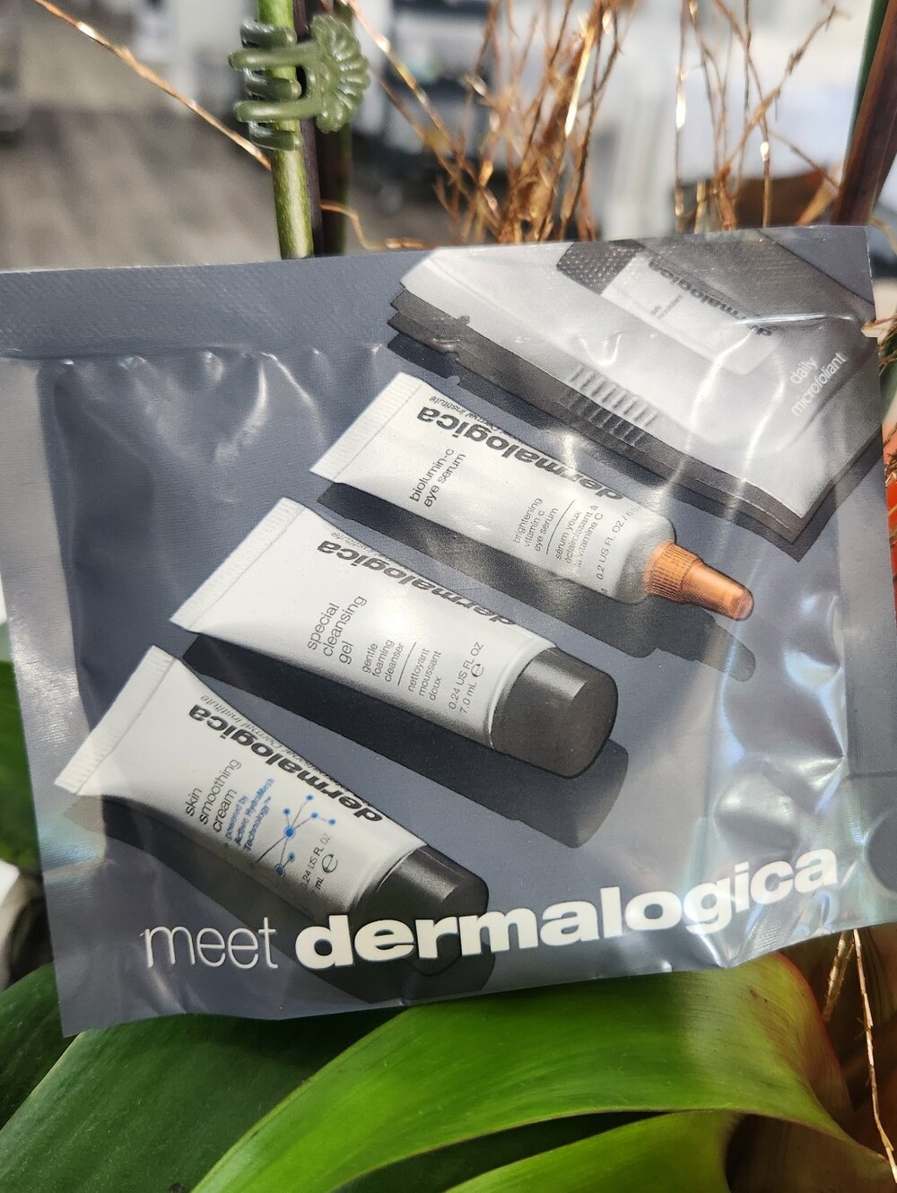 dermalogica gray skincare sampler pouch with white and black tubes